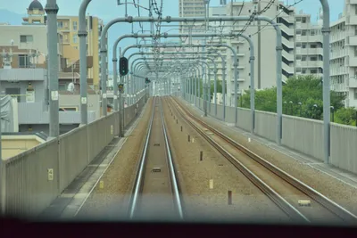 DSC_4011 (Large).JPG